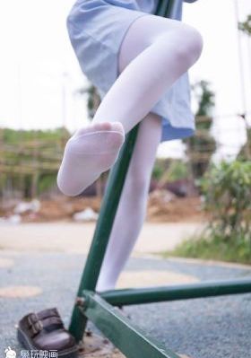 芈月传电视剧多少集_4K免费在线观看