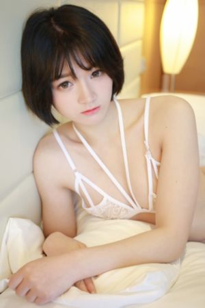 电影野兽们的战争_1080电影免费在线