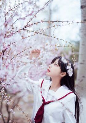 被驯服的女职员_高清免费电视剧
